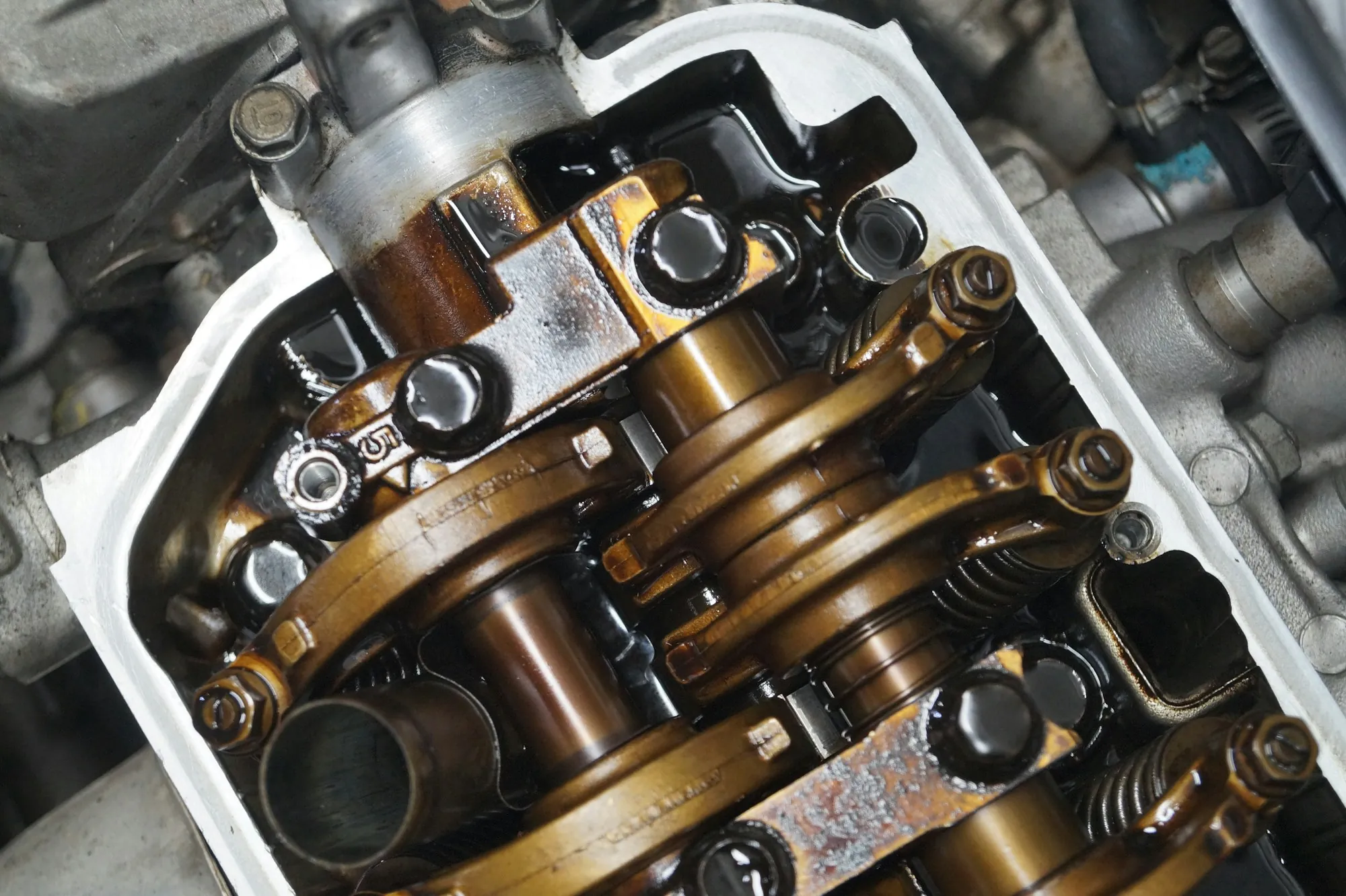 Detail of an engine's valve springs and camshaft